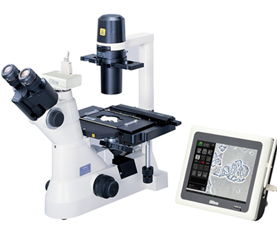 尼康倒置生物显微镜TS100