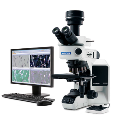 奥林巴斯金相显微镜BX53M