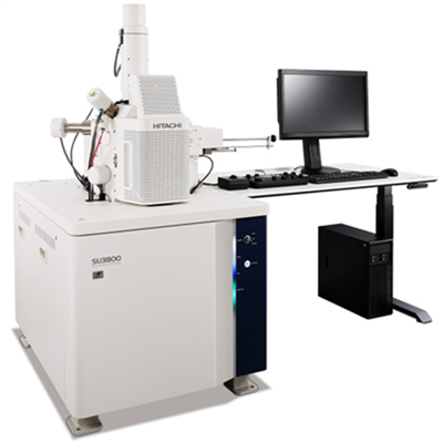 扫描电子显微镜 SU3800/SU3900